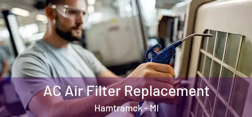  AC Air Filter Replacement Hamtramck - MI