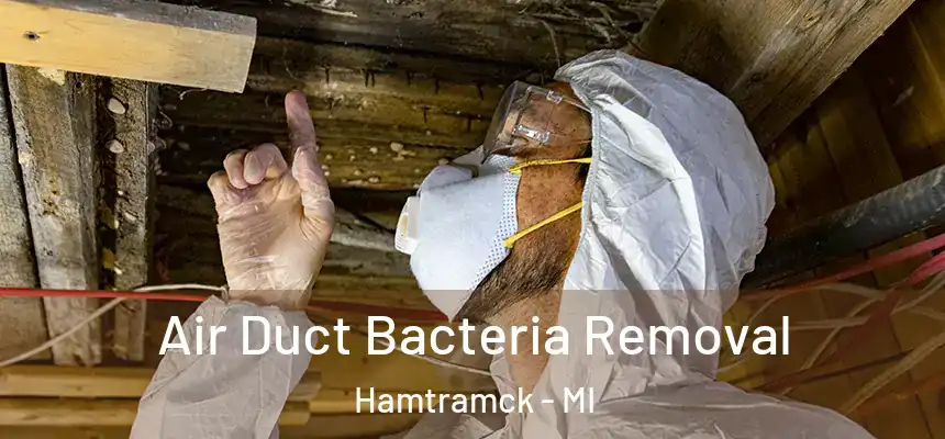  Air Duct Bacteria Removal Hamtramck - MI