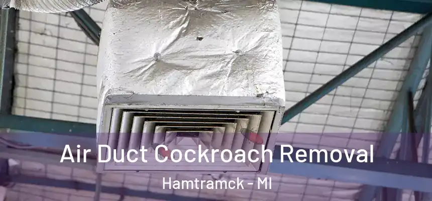  Air Duct Cockroach Removal Hamtramck - MI