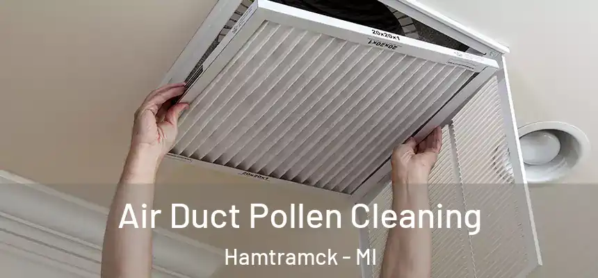  Air Duct Pollen Cleaning Hamtramck - MI