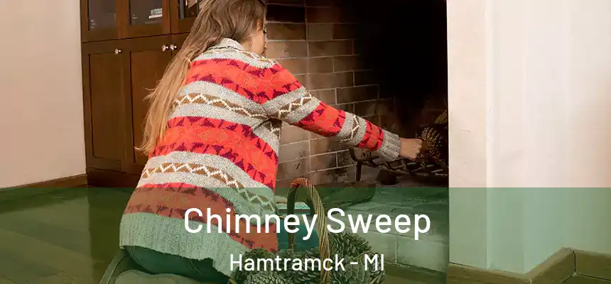  Chimney Sweep Hamtramck - MI