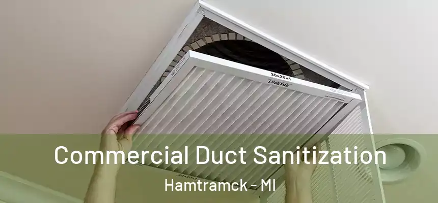 Commercial Duct Sanitization Hamtramck - MI