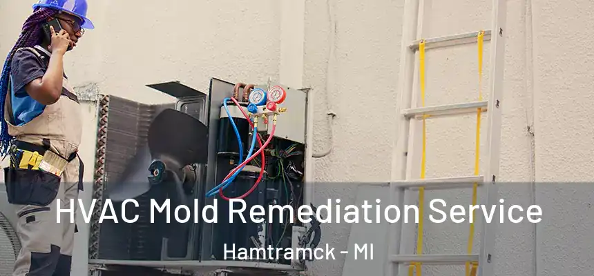  HVAC Mold Remediation Service Hamtramck - MI