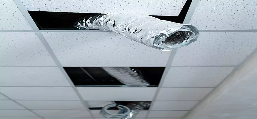 Affordable HVAC Sanitizing After Pest Removal in Hamtramck