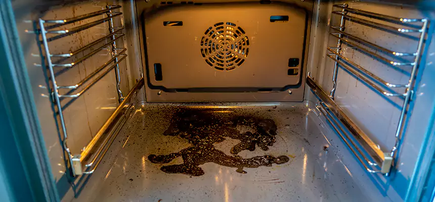 Our Dryer Vent Mold Cleaning Services in Hamtramck, MI