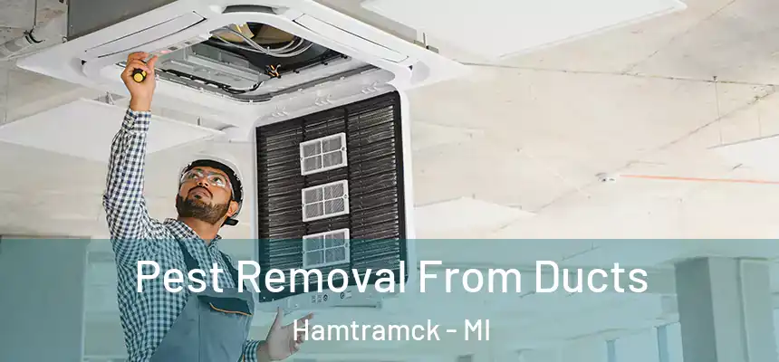  Pest Removal From Ducts Hamtramck - MI