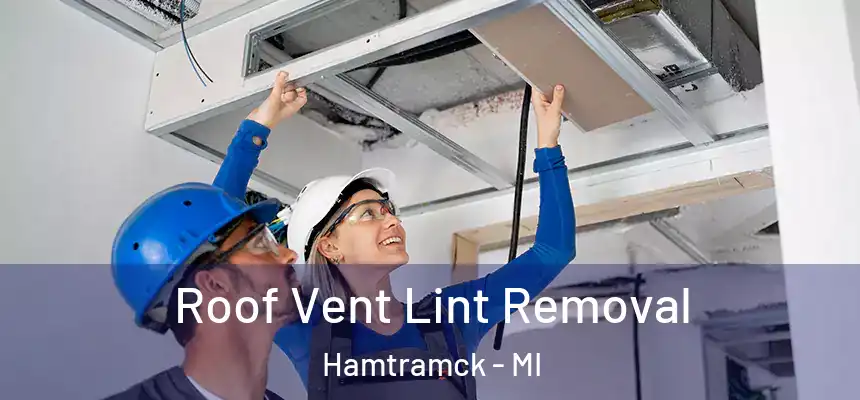  Roof Vent Lint Removal Hamtramck - MI