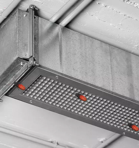 About Air Duct Cockroach Removal in Hamtramck, MI