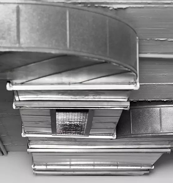 Professional Air Duct Pet Hair Removal in Hamtramck, MI