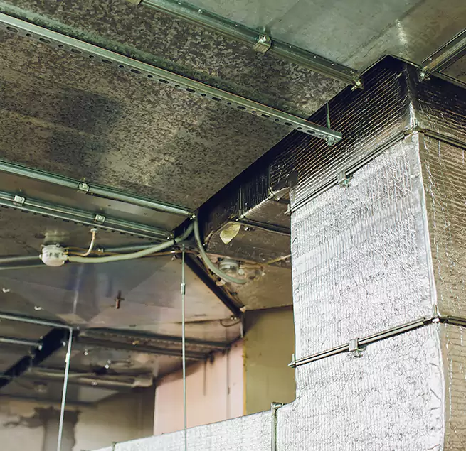 Why Homeowners & Businesses Trust Us in Hamtramck, MI?